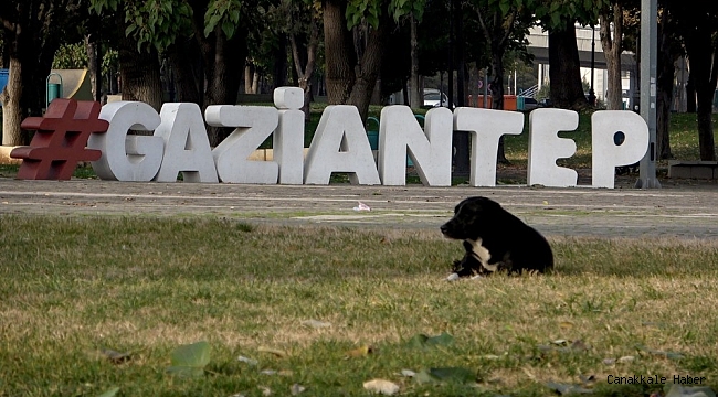 Kısıtlamaların hayalet şehri Gaziantep&#039;te sessizlik