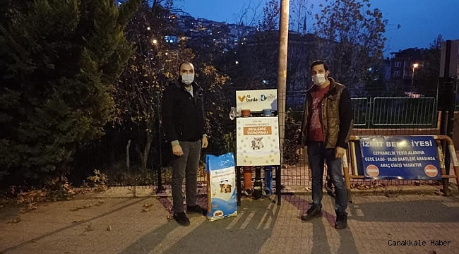 Kısıtlamasında sokak hayvanları unutulmadı