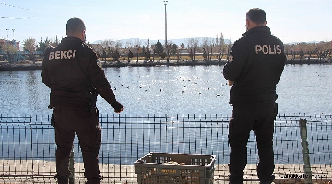 Kızılırmak'ta aç kalan kaz ve ördekleri polisler besledi