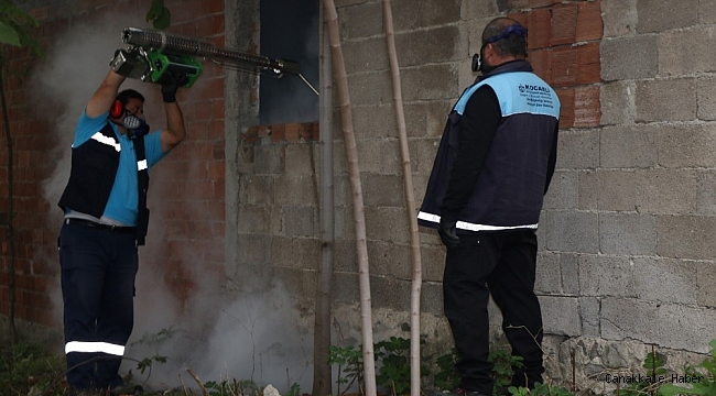 Kocaeli'de sivrisineklerle kışlık mücadele başladı