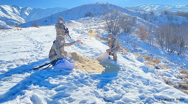 Komandolar, doğaya yem bıraktı