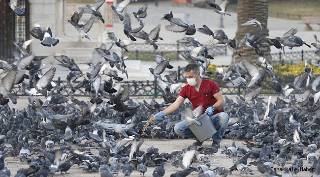 Konak evde, belediye görevde