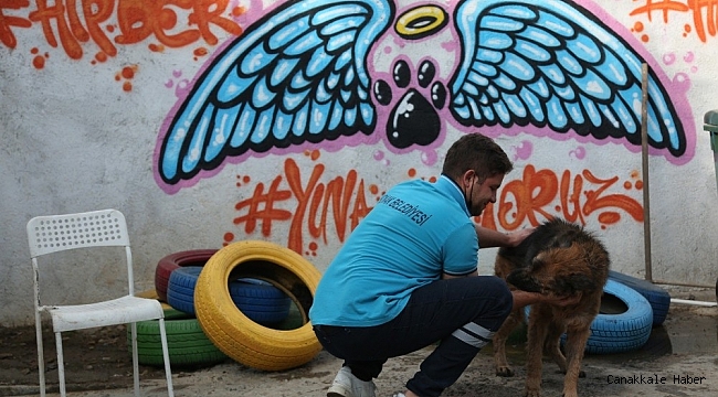 Konak&#039;ta can dostlar için STK&#039;larla işbirliğine devam