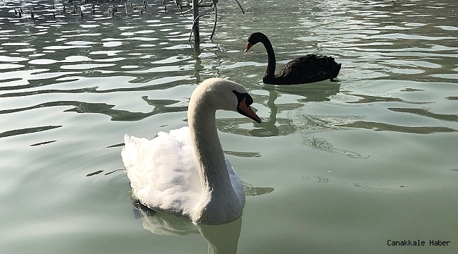 Konya&#039;da Aralık ayında güneşli hava keyfi