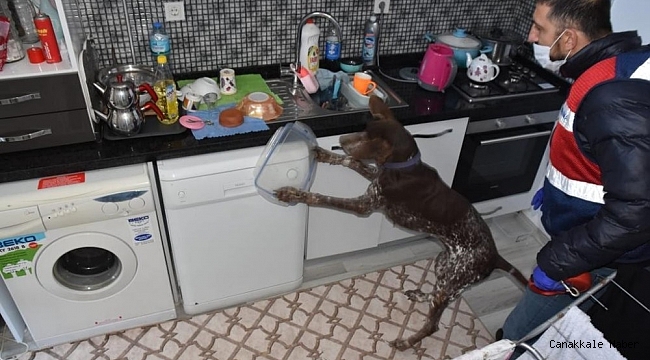 Köpek timi ile uyuşturucu operasyonu: 4 gözaltı