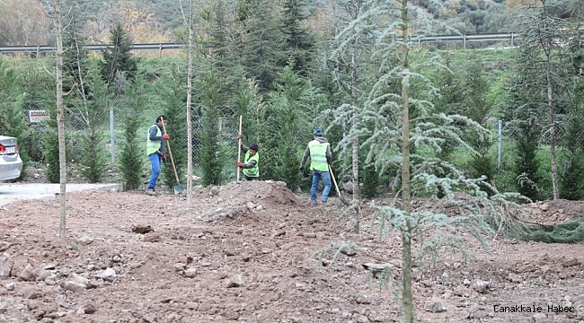 Körfez&#039;de yeşil alanlar arttırılıyor