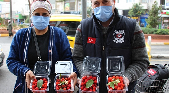 Korona virüs dağ çileğine olan ilgiyi arttırdı