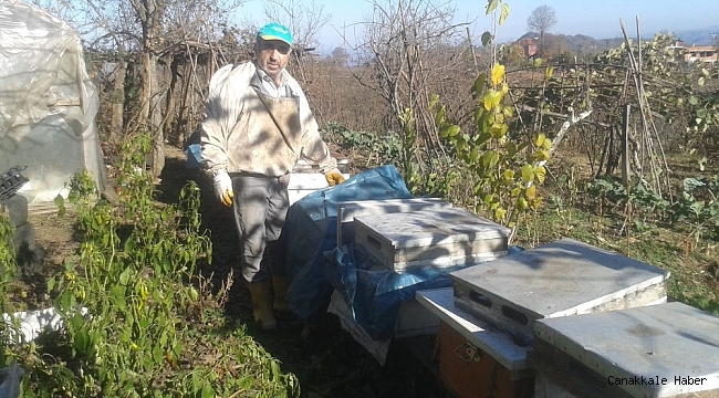 Korona virüs kestane balına talebi artırdı