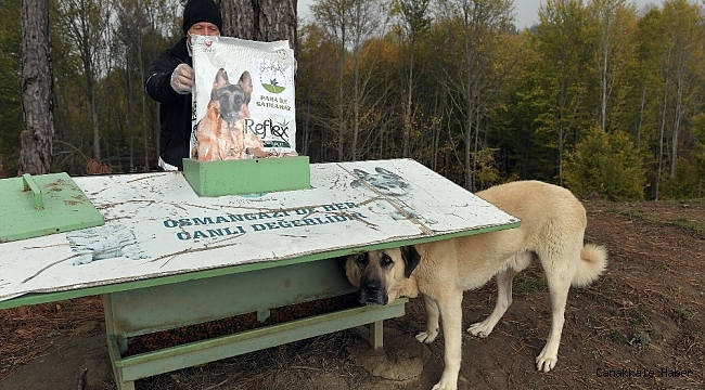 Korona virüse karşı üstün mücadele