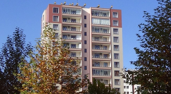 Korona virüsü atlatıp intihara kalkıştı, giriş kapısının üzerindeki tahta hayatta tuttu