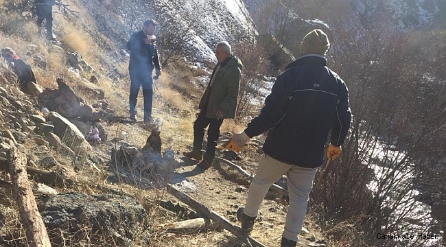 Köylüler, yaban keçilerini korumak için nöbet tutmaya başladı