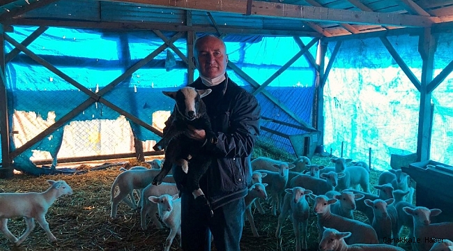 Küçükbaş hayvan üreticileri dertli