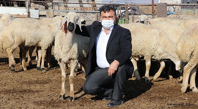 Küçükbaş hayvanlar meralardan mandıralara taşındı