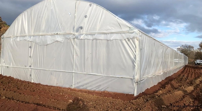 Kula&#039;da seralar kuruldu, üretim başladı