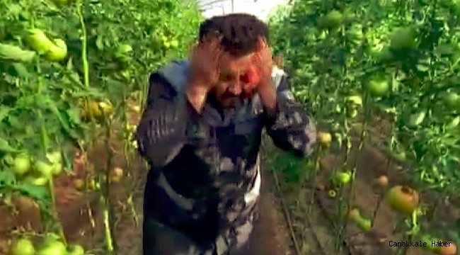 Kumlucalı çiftçiden 'kış domatesini yemeyin' diyen doktora klipli cevap