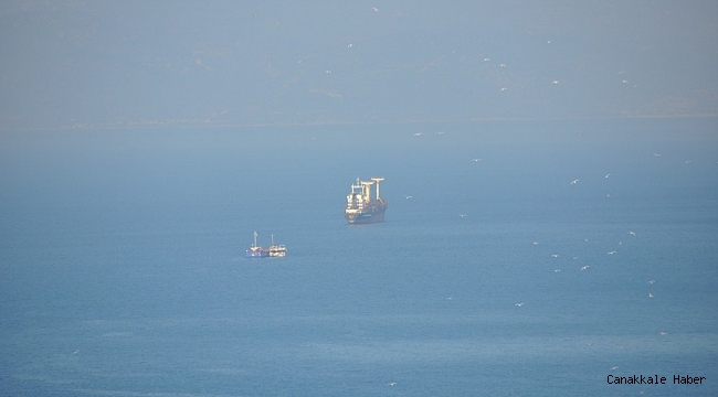 Kuşadası Körfezi&#039;nde iki kuru yük gemisi çarpıştı