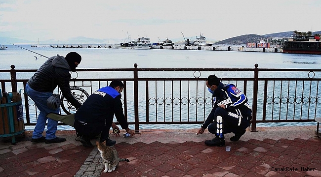 Kuşadası'nda olta balıkçılarına korona virüs denetimi