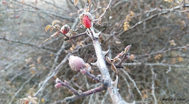 Kütahya'da kırağı güzelliği