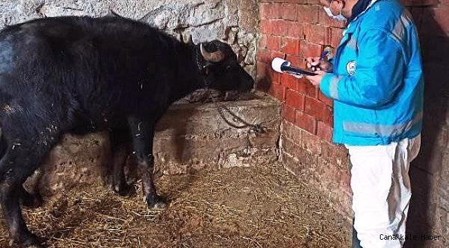 Kütahya&#039;da &quot;Halk Elinde Anadolu Mandasının Islahı&quot; projesi