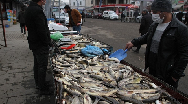 Malazgirt&#039;te balık bereketi