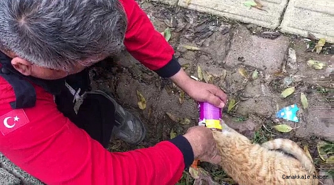 Mama kutusuna kafası sıkışan kediyi itfaiye kurtardı