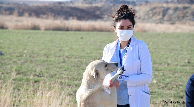 Mamak sokağa çıkma yasağında can dostları unutmadı