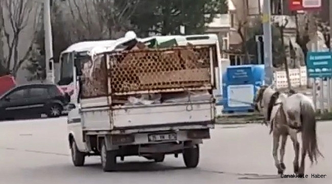 Manisa'da atın kamyonete bağlanıp yürütülmesi tepki çekti