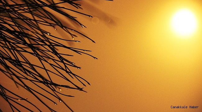 Manisa&#039;da etkili olan sis sürücülere zor anlar yaşattı