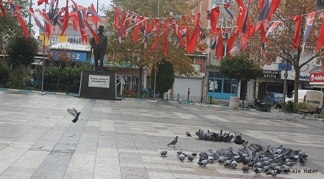 Manyas&#039;ta meydanlar kuşlara kaldı