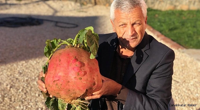 Mardin'de 8 kiloluk turp ilgi odağı oldu