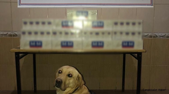 Mardin&#039;de çuval içerisine gizlenmiş kaçak sigara ele geçirildi