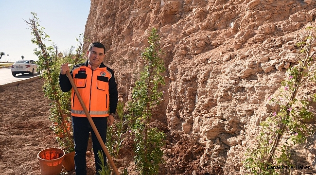 Masa Dağı&#039;na 12 bin adet çiçek