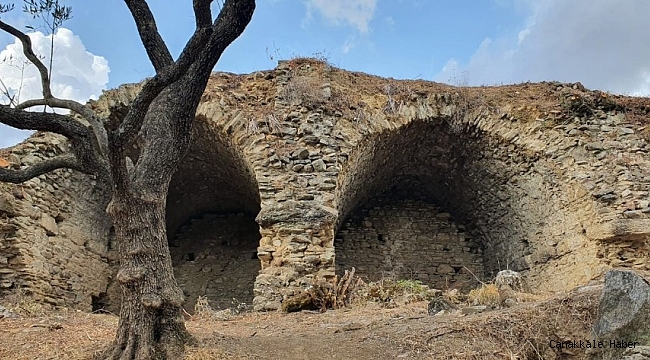 Mastaura 2020 yılının en önemli ikinci keşfi oldu