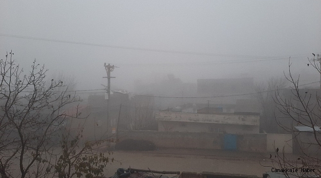 Mazıdağı'nda etkisini gösteren sis hayatı olumsuz etti