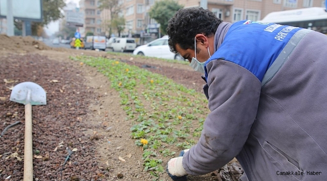 Melikgazi&#039;nin kavşakları kışın da çiçek açtı