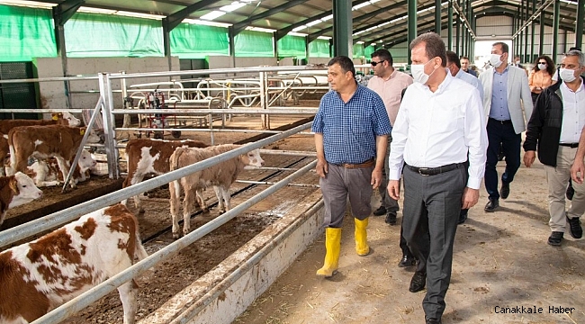 Mersin Büyükşehir Belediyesi, 2021'de tarım projelerine 24 milyon lira harcayacak