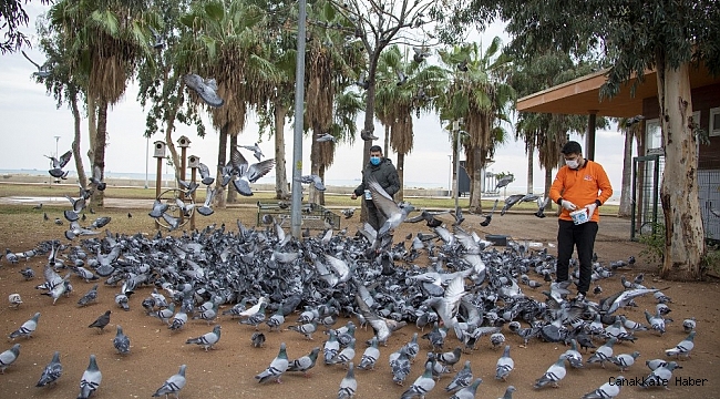 Mersin&#039;de sokağa çıkma yasağında sokak hayvanları unutulmadı