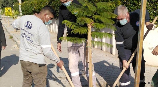 Mezitli yeşilleniyor