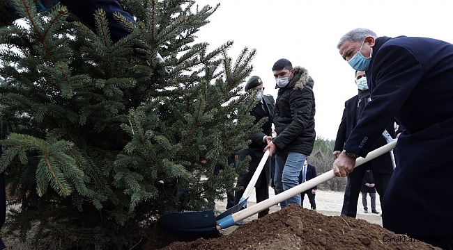 Milli Savunma Bakanı Akar gaziler ile birlikte fidan dikti