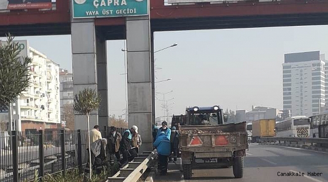 Mimar Sinan Bulvarı artık daha yeşil