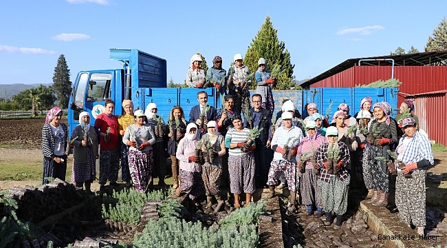 Muğla OBM&#039;de 9,8 Milyon fidan üretildi