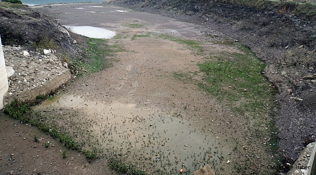 Muğla'da kuraklık uyarısı