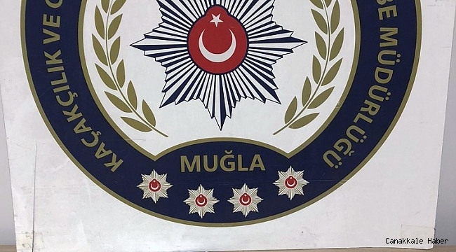 Muğla&#039;da sahte dolar operasyonu