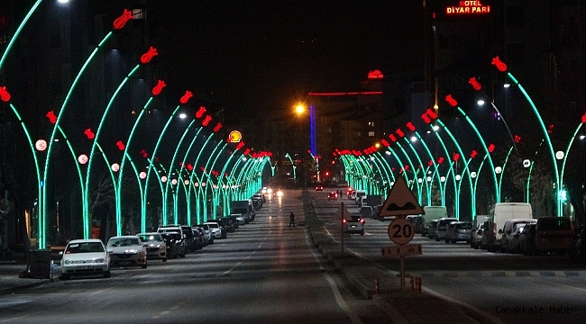 Muş'ta cadde ve sokaklarda sessizlik hakim