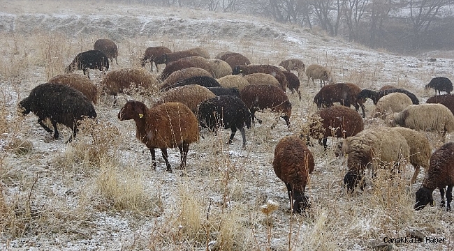 Muş'ta kar yağışı