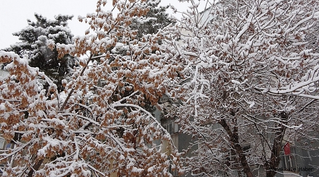 Muş&#039;ta lapa lapa kar yağışı