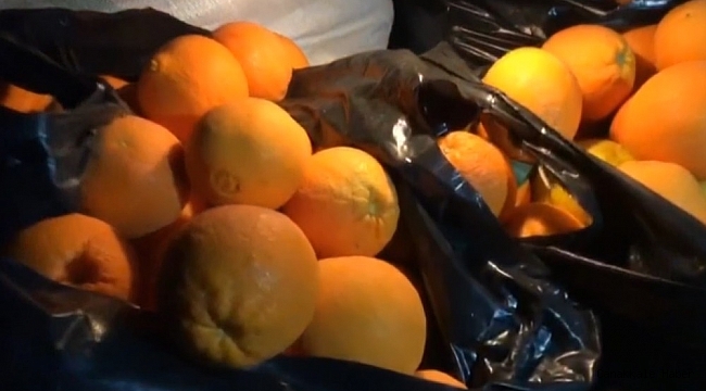 Narenciye ve nar hırsızı suçüstü yakalandı