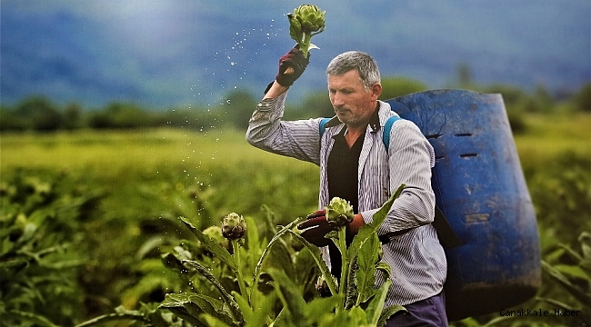 Nilüfer'in tarım arazileri mercek altında