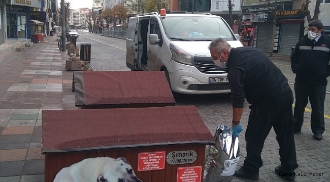 Odunpazarı Belediyesi sokakta yaşayan hayvanları unutmadı