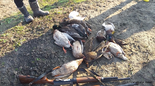 Öğretmenden Kuş Cenneti'nde ördek katliamı